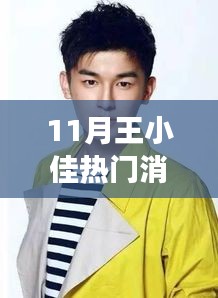 王小佳十一月熱門消息揭秘，多維解讀背后的故事