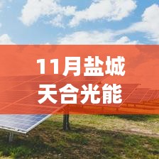 鹽城天合光能熱門招聘應(yīng)聘全攻略，從入門到成功應(yīng)聘的每一步解析