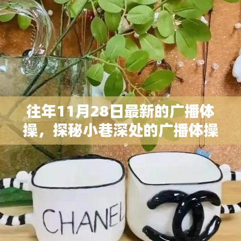 探秘小巷深處的廣播體操寶藏小店，最新廣播體操一覽