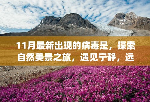 11月病毒來襲之際，自然美景之旅，尋找心靈寧靜的避風(fēng)港