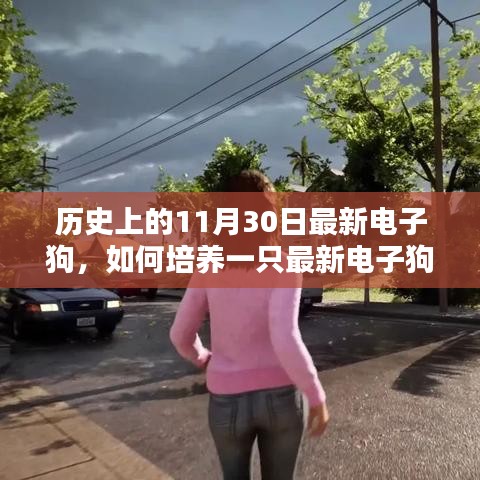 歷史上的11月30日，最新電子狗的培養(yǎng)指南與詳細指南解析
