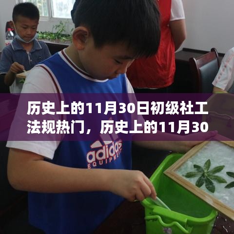歷史上的11月30日，初級社工法規(guī)的熱門演變及其深遠(yuǎn)影響