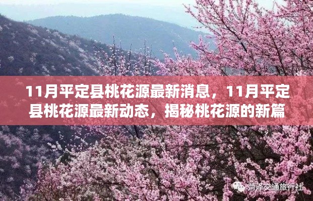 揭秘，11月平定縣桃花源最新動態(tài)與進展新篇章