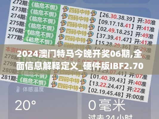 2024澳門特馬今晚開獎(jiǎng)06期,全面信息解釋定義_硬件版IBF2.704