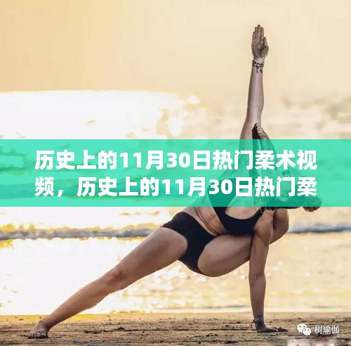 歷史上的柔術(shù)視頻回顧，熱門柔術(shù)視頻深度評(píng)測(cè)與介紹（11月30日篇）