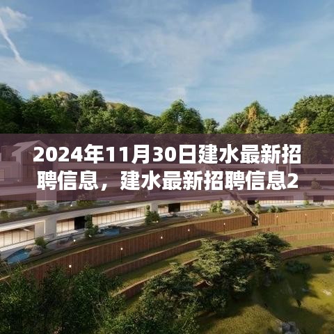建水最新招聘信息概覽，2024年11月30日更新