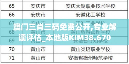 澳門三肖三碼免費公開,專業(yè)解讀評估_本地版KIM38.670