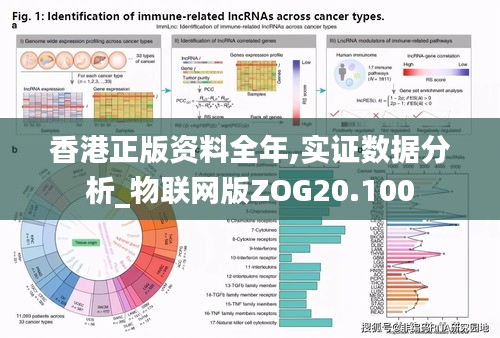 香港正版資料全年,實(shí)證數(shù)據(jù)分析_物聯(lián)網(wǎng)版ZOG20.100