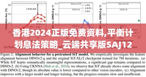 香港2024正版免費資料,平衡計劃息法策略_云端共享版SAJ12.430