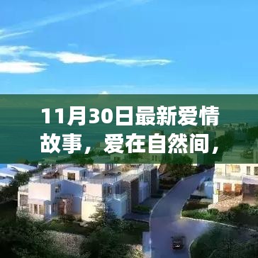 11月30日愛情故事，愛在自然間的內(nèi)心平靜之旅