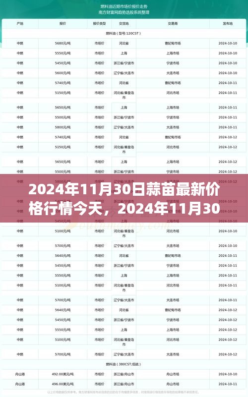 蒜苗最新價(jià)格行情與尋找內(nèi)心寧?kù)o的自然美景之旅