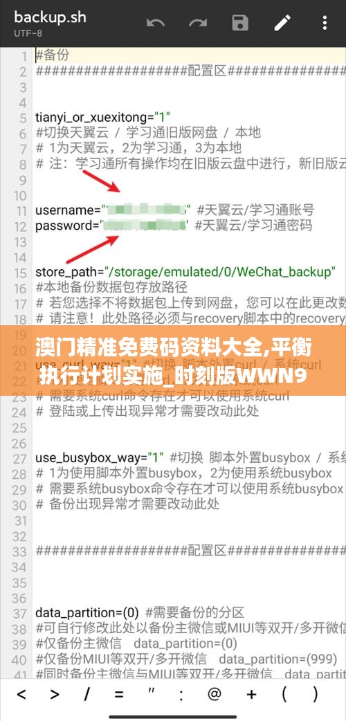 澳門精準免費碼資料大全,平衡執(zhí)行計劃實施_時刻版WWN98.109