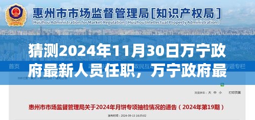 2024年11月30日萬(wàn)寧政府最新人員任職預(yù)測(cè)及分析，個(gè)人觀點(diǎn)與變革展望