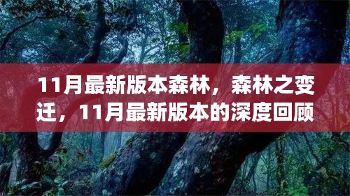 11月最新版本森林的變遷，深度回顧與影響