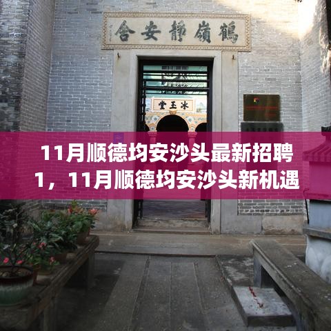11月順德均安沙頭最新招聘啟航，職場新征程，學習變革與自信成長的機會