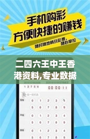 二四六王中王香港資料,專業(yè)數據點明方法_DIY版CIY58.167
