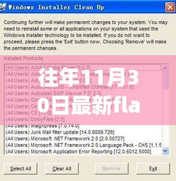 最新Flash Player下載體驗，功能升級，引領(lǐng)生活新潮流！