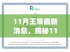 揭秘王策最新動(dòng)態(tài)，深度解讀三大要點(diǎn)，最新消息一網(wǎng)打盡