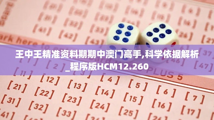 王中王精準資料期期中澳門高手,科學依據解析_程序版HCM12.260
