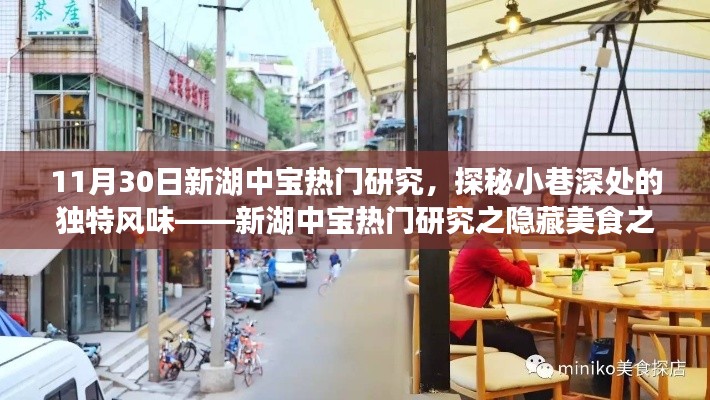 探秘新湖中寶隱藏美食，小巷深處的獨特風味之旅