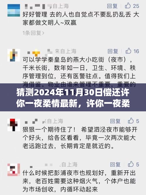 許你一夜柔情，深度評測、特性體驗、競品對比及用戶群體分析