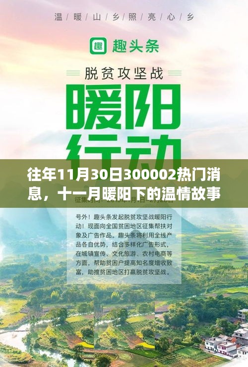 十一月暖陽下的溫情故事，揭秘300002熱門消息的溫馨日常揭秘