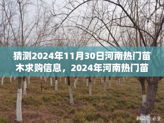 2024年河南熱門苗木求購(gòu)信息預(yù)測(cè)，多方視角解讀與觀點(diǎn)碰撞，未來(lái)趨勢(shì)展望