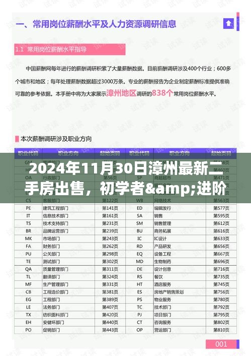 2024年漳州二手房出售全流程指南，從初學(xué)者到進階用戶