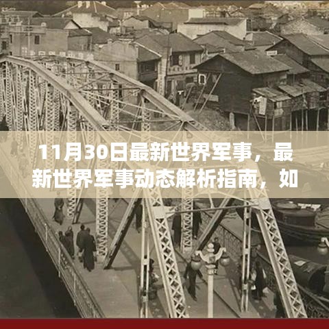 11月30日世界軍事最新動態(tài)解析，深入了解當日軍事形勢指南