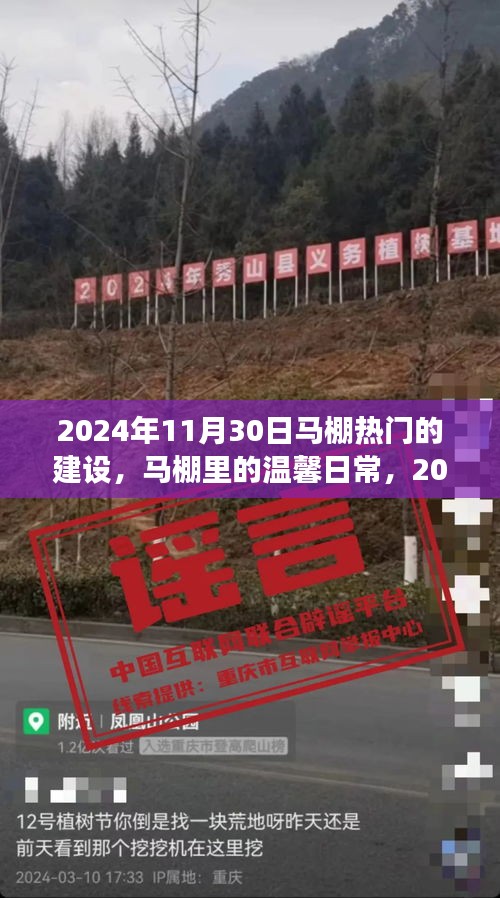 馬棚溫馨日常與熱鬧建設(shè)之旅，2024年11月30日的記錄