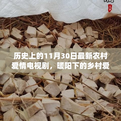 暖陽下的鄉(xiāng)村愛情，十一月三十日的甜蜜日常