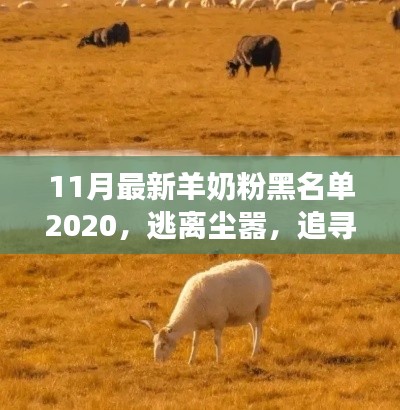 羊奶粉黑名單揭秘，追尋心靈寧?kù)o之旅的別樣風(fēng)情