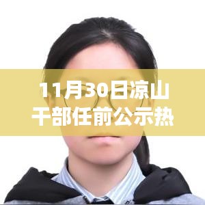 涼山干部任前公示操作指南，從零起步到公示完成全解析