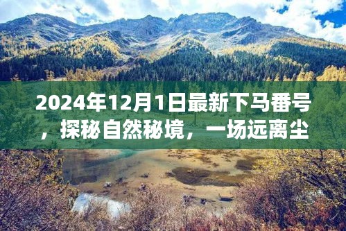 探秘自然秘境，啟程于2024年心靈之旅的冒險(xiǎn)號(hào)角