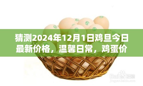 雞蛋價(jià)格之謎，探索2024年最新價(jià)格與友情的紐帶