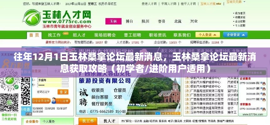 往年12月1日玉林桑拿論壇最新消息全解析,獲取攻略初學(xué)者與進(jìn)階用戶必讀