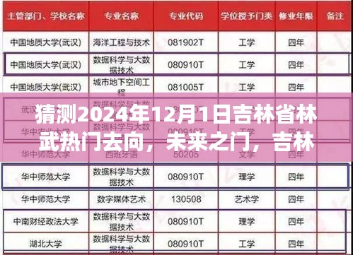 吉林林武未來展望，揭秘2024年熱門去向與奇妙之旅的溫馨歸宿