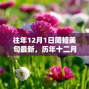 歷年十二月一日美妙瞬間盤點，簡短美句集錦