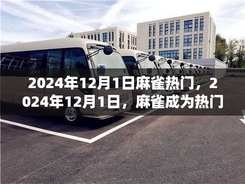 揭秘麻雀魅力背后的原因，為何它在2024年12月1日成為熱門焦點(diǎn)？