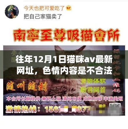 遠(yuǎn)離非法色情內(nèi)容，關(guān)注貓咪健康與日常護理的建議和指導(dǎo)