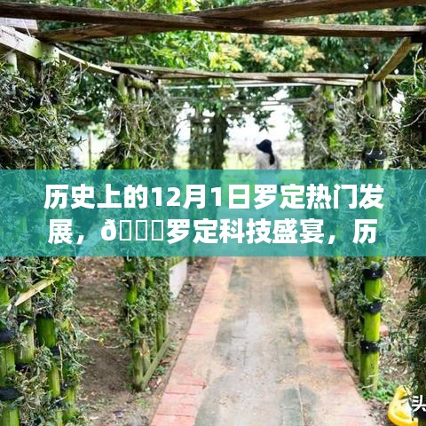 ??羅定科技盛宴，歷史上的12月1日羅定熱門(mén)發(fā)展新品重磅來(lái)襲回顧與前瞻