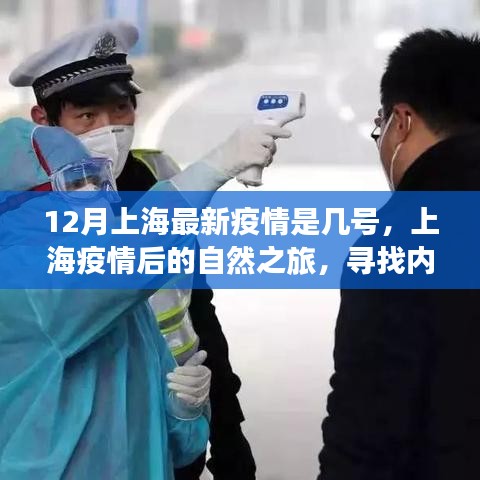 上海疫情后的自然之旅，尋找內心的寧靜與力量之旅（最新疫情動態(tài)）