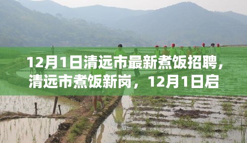 清遠(yuǎn)市最新煮飯招聘啟航，烹飪?nèi)松晒Φ拿卦E探尋之路
