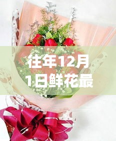 往年12月1日鮮花最新包裝圖片探析，視覺盛宴的背后利與弊