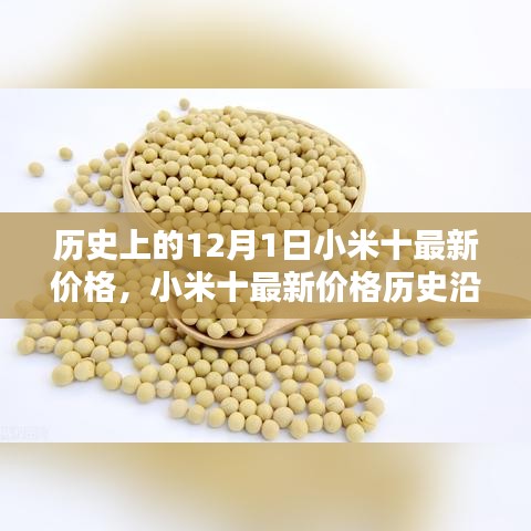 小米十最新價(jià)格深度解析，歷史沿革、目標(biāo)用戶群體分析與深度評(píng)測(cè)報(bào)告
