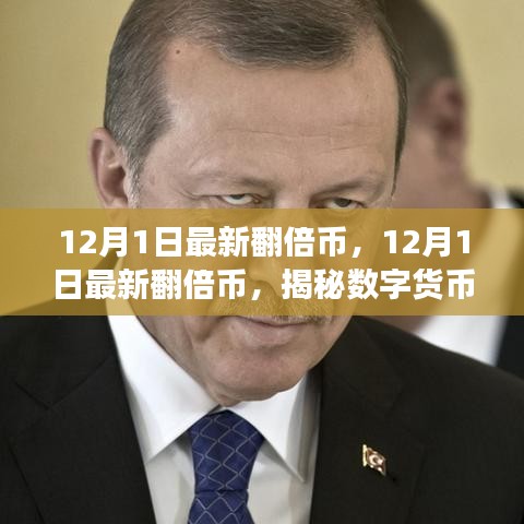 揭秘數(shù)字貨幣市場的新風口，12月1日最新翻倍幣展望