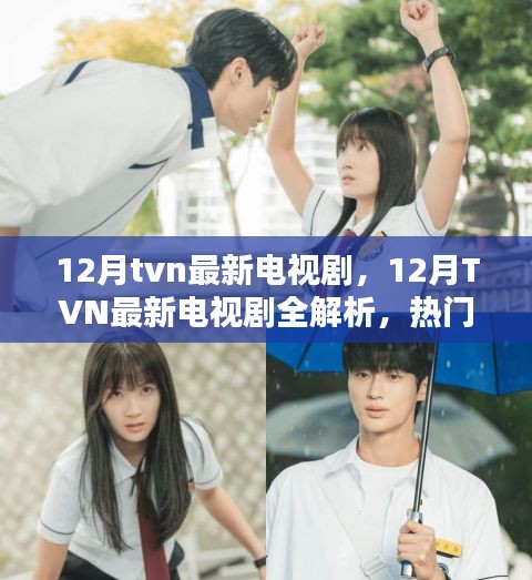 12月TVN新劇全解析，熱門新劇一網(wǎng)打盡