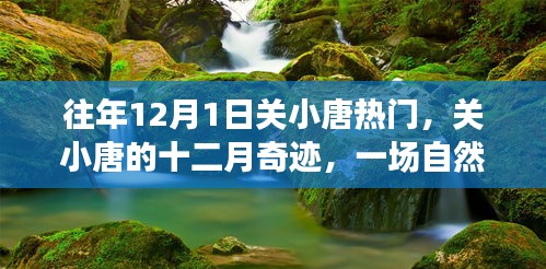 關(guān)小唐的十二月奇跡，自然美景治愈之旅，熱門話題揭秘