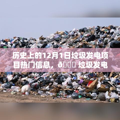 揭秘垃圾發(fā)電項目的科技魅力與最新體驗，歷史上的12月1日垃圾發(fā)電項目熱門信息回顧與前沿展望