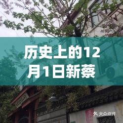 探秘新蔡檀香園，巷弄深處的獨(dú)特風(fēng)情，揭秘十二月最新動(dòng)態(tài)